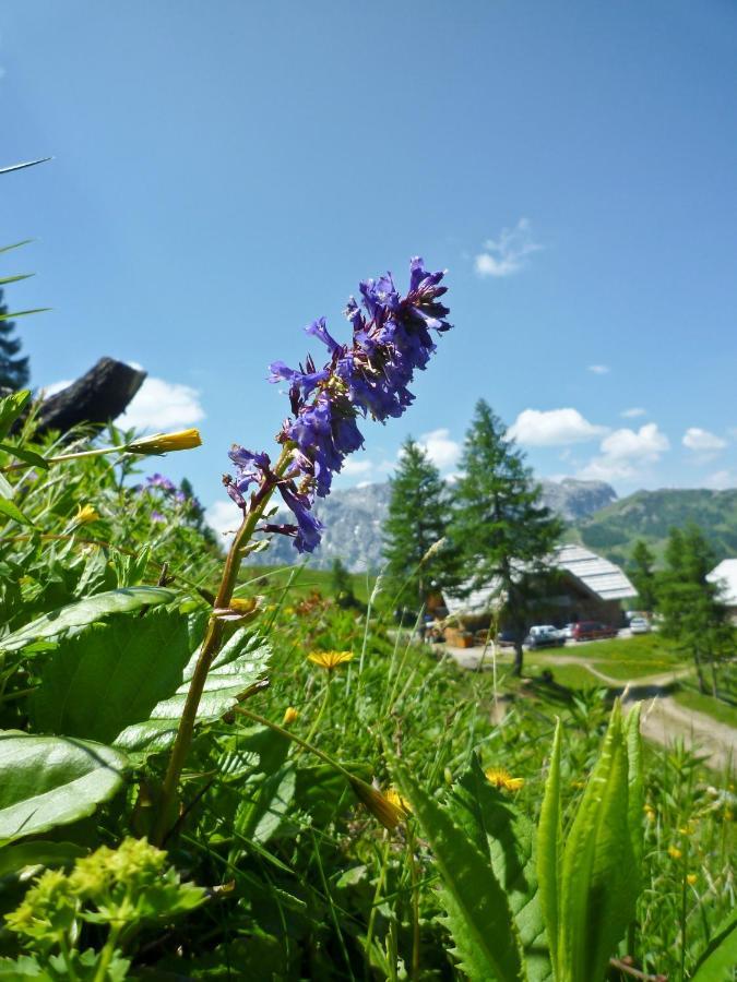 Wulfenia Da Livio Hotel