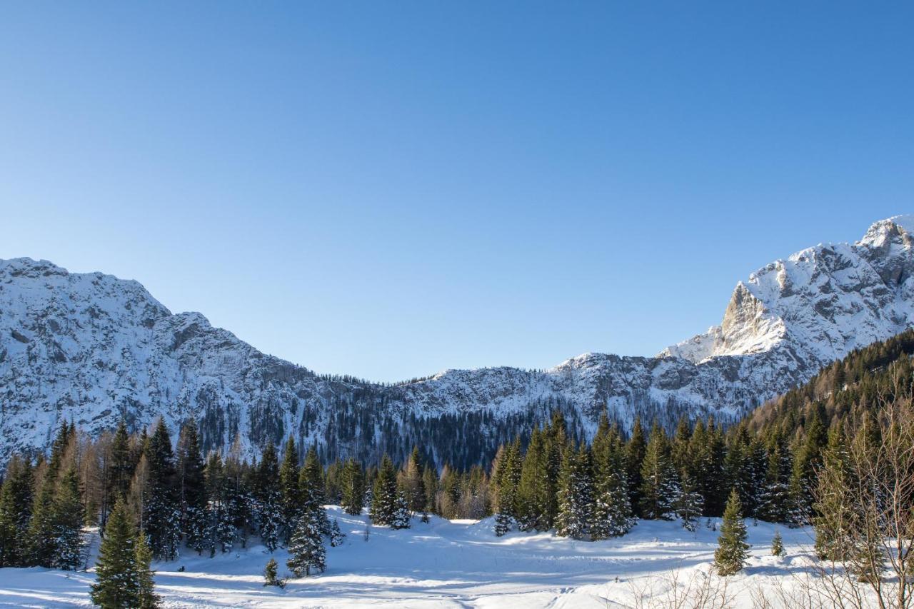 Hotel Nassfeld Fruehstueckspension Wulfenia Da Livio