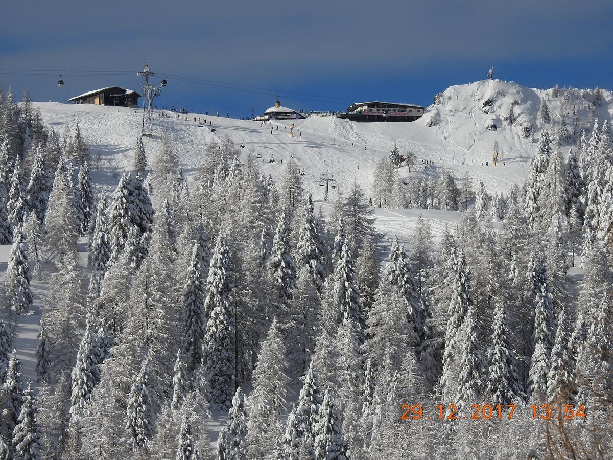 Wulfenia Da Livio Hotel Passo Pramollo